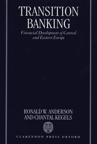 bokomslag Transition Banking