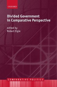 bokomslag Divided Government in Comparative Perspective