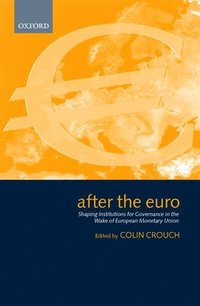 bokomslag After the Euro