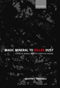 bokomslag Magic Mineral to Killer Dust