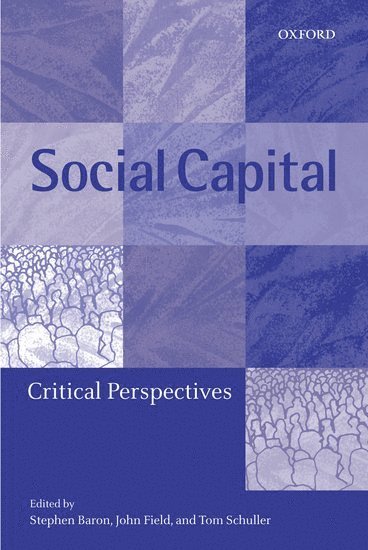 bokomslag Social Capital