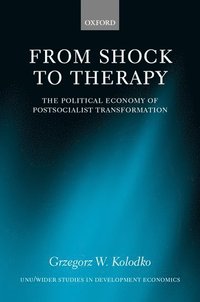 bokomslag From Shock to Therapy