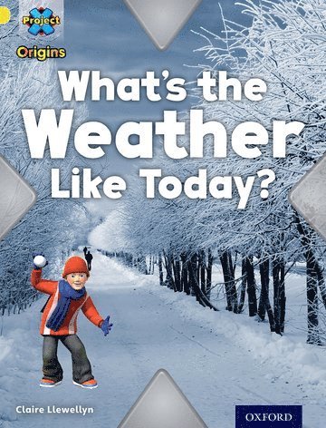 Claire Llewellyn - Project X Origins: Yellow Book Band, Oxford Level 3: Weather: What's the Weather Like today?, Häftad