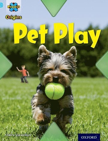 Claire Llewellyn - Project X Origins: Light Blue Book Band, Oxford Level 4: Toys and Games: Pet Play, Häftad