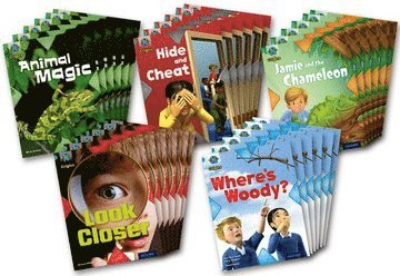 Shoo Rayner, Jan Burchett, Sara Vogler, Mick Gowar, Carolyn Sloan, Alison Blank, Jo Tregenza - Project X Origins: Turquoise Book Band, Oxford Level 7: Hide and Seek: Class Pack of 30, Häftad