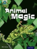 bokomslag Project X Origins: Turquoise Book Band, Oxford Level 7: Hide and Seek: Animal Magic