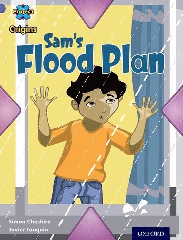 Project X Origins: Purple Book Band, Oxford Level 8: Water: Sam's Flood Plan 1