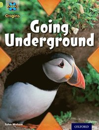 bokomslag Project X Origins: Lime Book Band, Oxford Level 11: Underground: Going Underground
