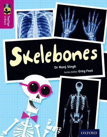 bokomslag Oxford Reading Tree TreeTops inFact: Level 10: Skelebones