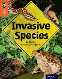 bokomslag Oxford Reading Tree TreeTops inFact: Level 13: Invasive Species
