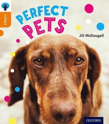 Oxford Reading Tree inFact: Level 6: Perfect Pets 1