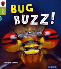 bokomslag Oxford Reading Tree inFact: Level 7: Bug Buzz!