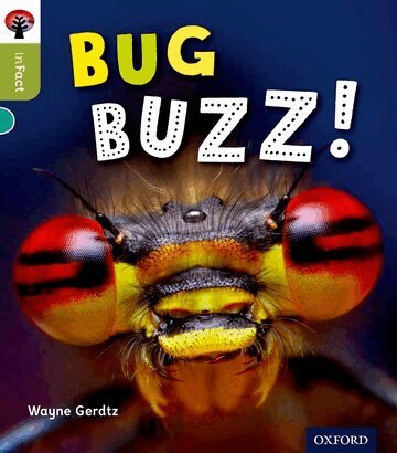 Wayne Gerdtz - Oxford Reading Tree inFact: Level 7: Bug Buzz!, Häftad