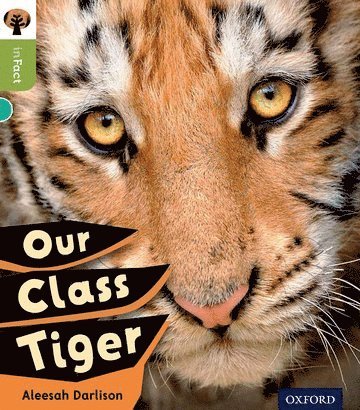 Oxford Reading Tree inFact: Level 7: Our Class Tiger 1
