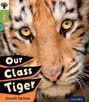 Alessah Darlison - Oxford Reading Tree inFact: Level 7: Our Class Tiger, Häftad