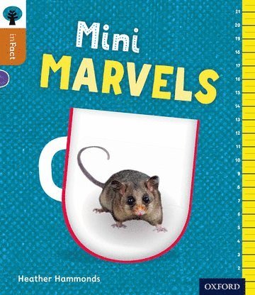 Oxford Reading Tree inFact: Level 8: Mini Marvels 1