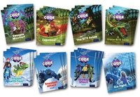 bokomslag Project X Code: Fiendish Falls & Big Freeze Class Pack of 24