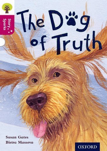 bokomslag Oxford Reading Tree Story Sparks: Oxford Level 10: The Dog of Truth