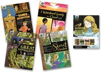 Elen Caldecott, Miranda Walker, James Driver, Lindsay Pickton, Christine Chen - Project X Origins Graphic Texts: Dark Blue Book Band, Oxford Level 16: Mixed Pack of 4, Häftad