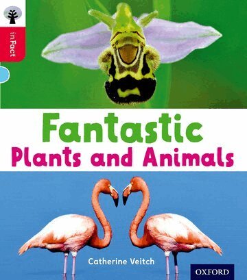 Catherine Veitch - Oxford Reading Tree inFact: Oxford Level 4: Fantastic Plants and Animals, Häftad
