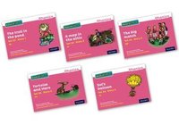 bokomslag Read Write Inc. Phonics: Pink Set 3A Storybooks Mixed Pack of 5