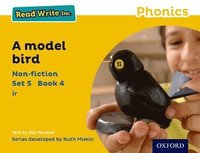 bokomslag Read Write Inc. Phonics: A Model Bird (Yellow Set 5 Non-fiction 4)