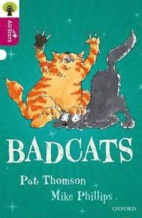 bokomslag Oxford Reading Tree All Stars: Oxford Level 10 Badcats