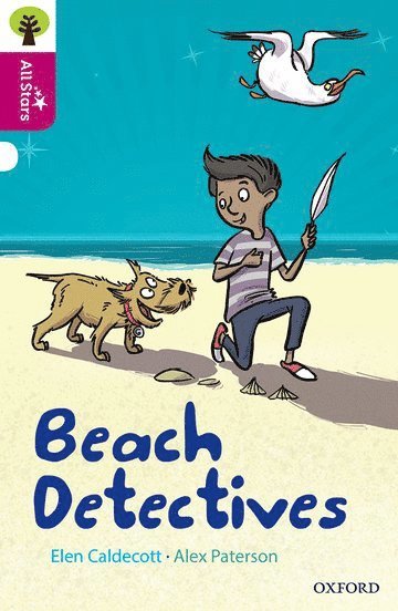 Oxford Reading Tree All Stars: Oxford Level 10: Beach Detectives 1