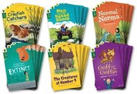 bokomslag Oxford Reading Tree All Stars: Oxford Level 12 : Class Pack of 36 (4a)