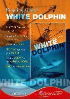 bokomslag Rollercoasters: White Dolphin Reading Guide