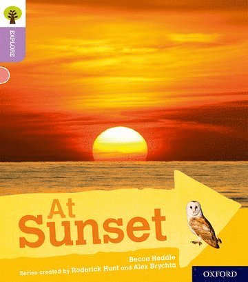 Oxford Reading Tree Explore with Biff, Chip and Kipper: Oxford Level 1+: At Sunset