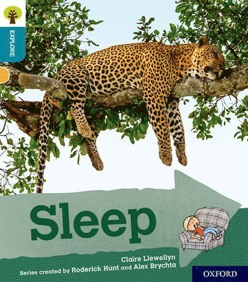 Oxford Reading Tree Explore with Biff, Chip and Kipper: Oxford Level 9: Sleep 1