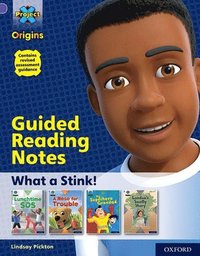 bokomslag Project X Origins: Purple Book Band, Oxford Level 8: What a Stink!: Guided reading notes