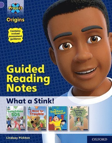 bokomslag Project X Origins: Purple Book Band, Oxford Level 8: What a Stink!: Guided reading notes