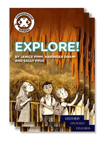 Project X Comprehension Express: Stage 1: Explore! Pack of 15 1