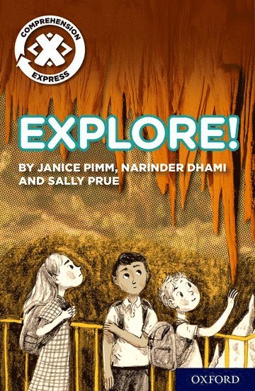 Project X Comprehension Express: Stage 1: Explore! Pack of 6 1