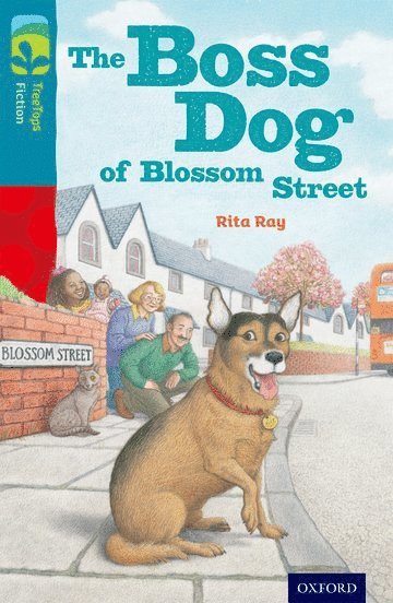 Oxford Reading Tree TreeTops Fiction: Level 9 More Pack A: The Boss Dog of Blossom Street 1