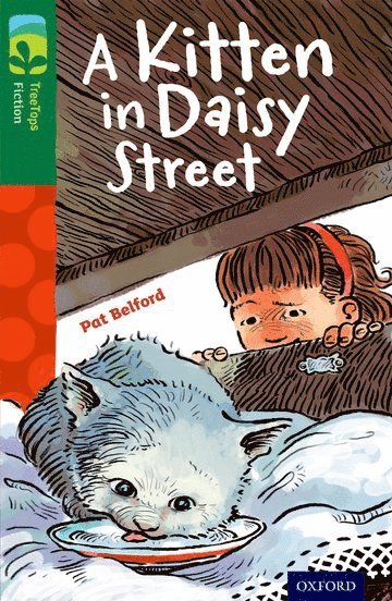 bokomslag Oxford Reading Tree TreeTops Fiction: Level 12 More Pack B: A Kitten in Daisy Street