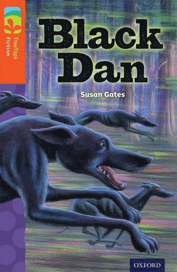 Oxford Reading Tree TreeTops Fiction: Level 13 More Pack A: Black Dan