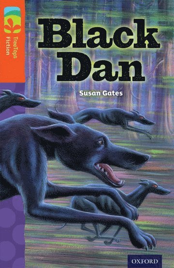 Oxford Reading Tree TreeTops Fiction: Level 13 More Pack A: Black Dan 1