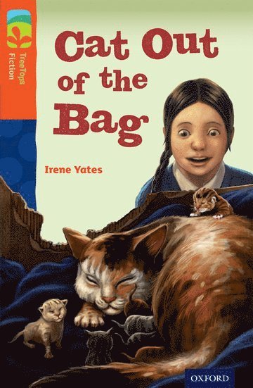 Oxford Reading Tree TreeTops Fiction: Level 13 More Pack B: Cat Out of the Bag 1