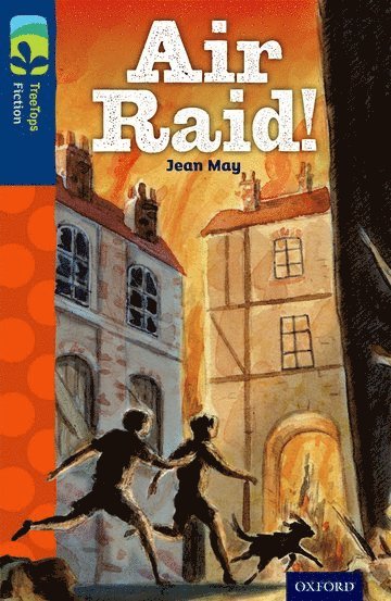 Oxford Reading Tree TreeTops Fiction: Level 14 More Pack A: Air Raid! 1