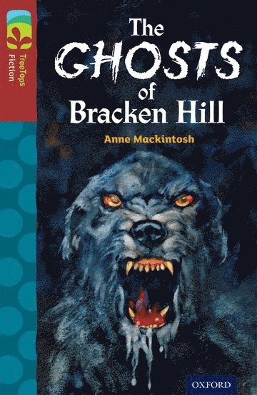 Anne Mackintosh - Oxford Reading Tree TreeTops Fiction: Level 15: The Ghosts of Bracken Hill, Häftad