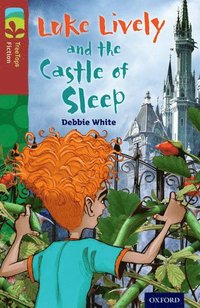bokomslag Oxford Reading Tree TreeTops Fiction: Level 15 More Pack A: Luke Lively and the Castle of Sleep