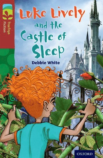 Oxford Reading Tree TreeTops Fiction: Level 15 More Pack A: Luke Lively and the Castle of Sleep 1