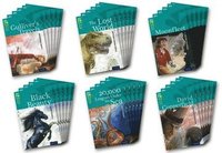 bokomslag Oxford Reading Tree TreeTops Classics: Level 16: Pack of 36