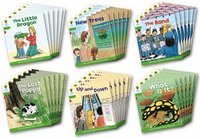 bokomslag Oxford Reading Tree: Level 2: More Patterned Stories A: Class Pack of 36