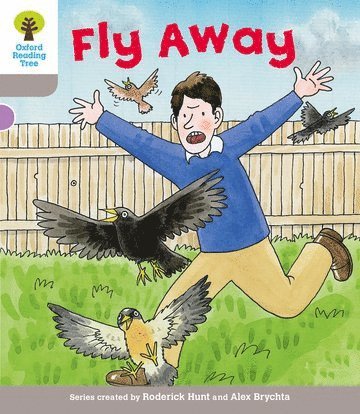 bokomslag Oxford Reading Tree: Level 1: Decode and Develop: Fly Away