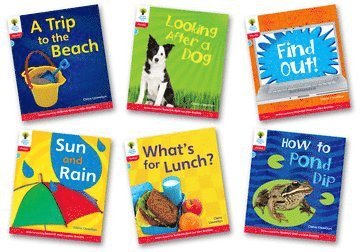 bokomslag Oxford Reading Tree: Level 4: Floppy's Phonics Non-Fiction: Pack of 6
