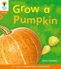 bokomslag Oxford Reading Tree: Level 6: Floppy's Phonics Non-Fiction: Grow a Pumpkin